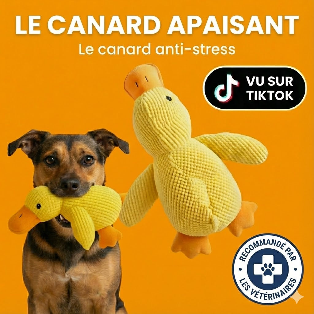 Calmy™ - Le Canard anti-stress